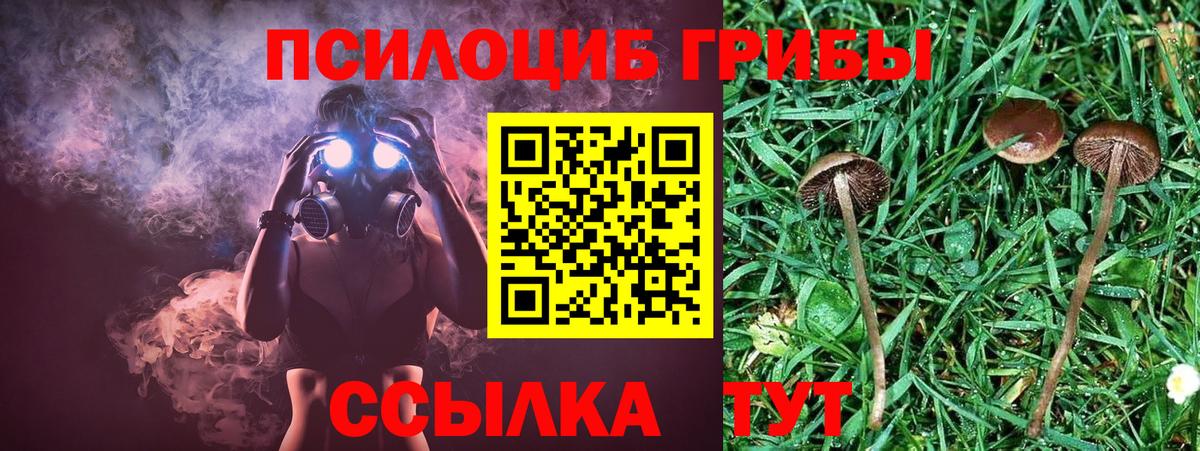 наркота  Вход с VPN  Конаково  Псилоцибиновые грибы Cubensis 