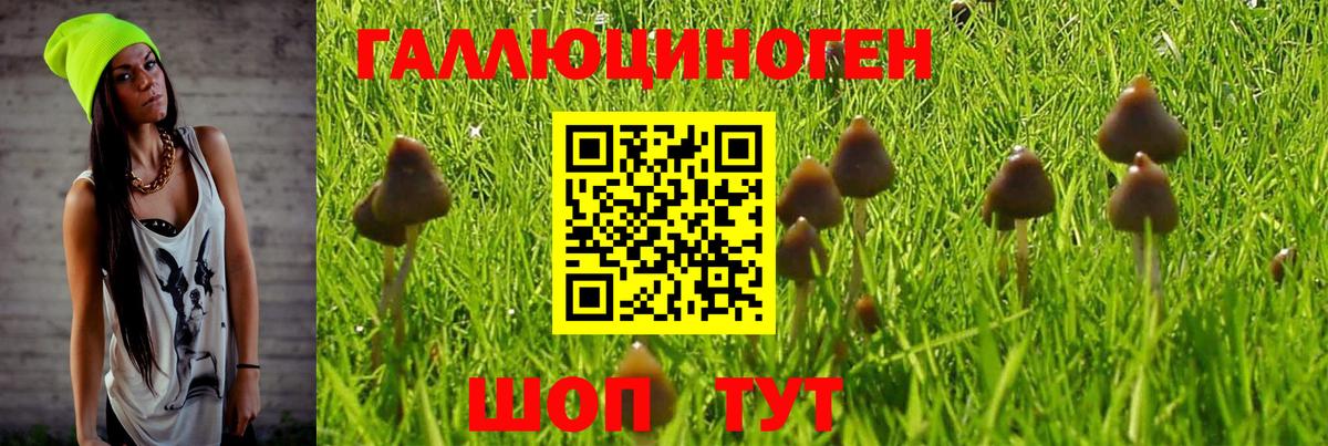 Псилоцибиновые грибы Magic Shrooms Конаково
