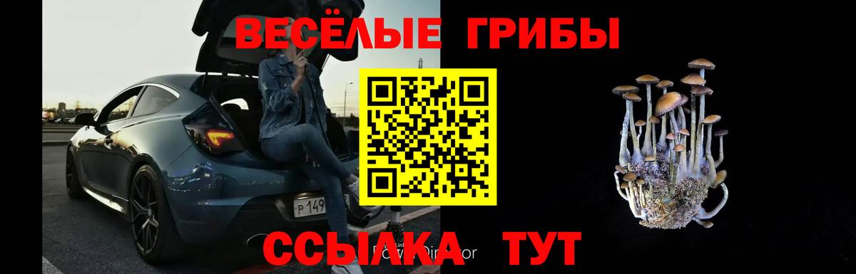 Псилоцибиновые грибы мухоморы  Конаково 